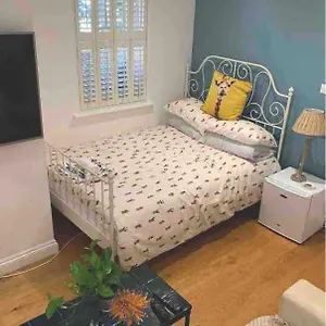 Stylish Modern Studio, Mock Georgian House, Heart Of Trendy Hackney & Londen